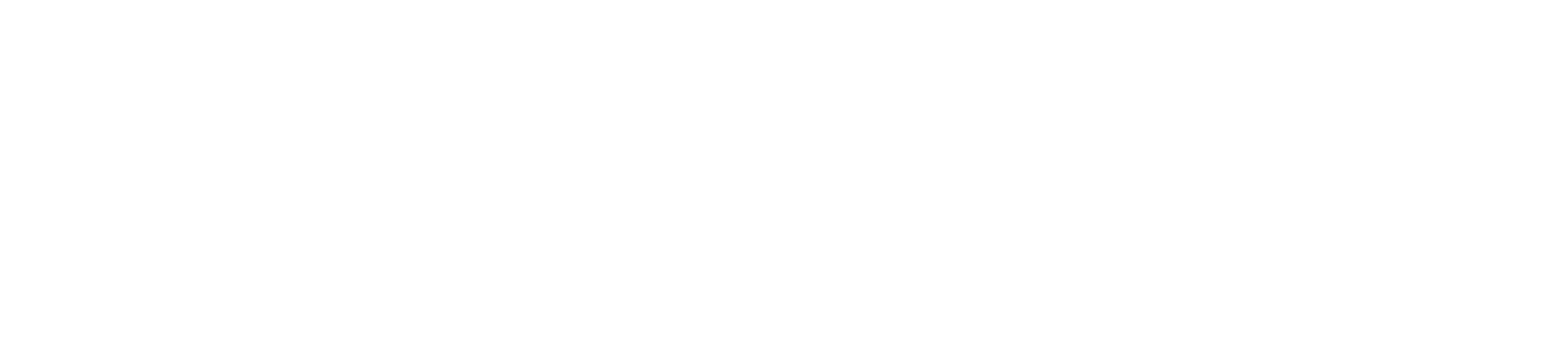 Logo Orientaction