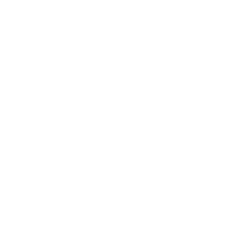 access icon