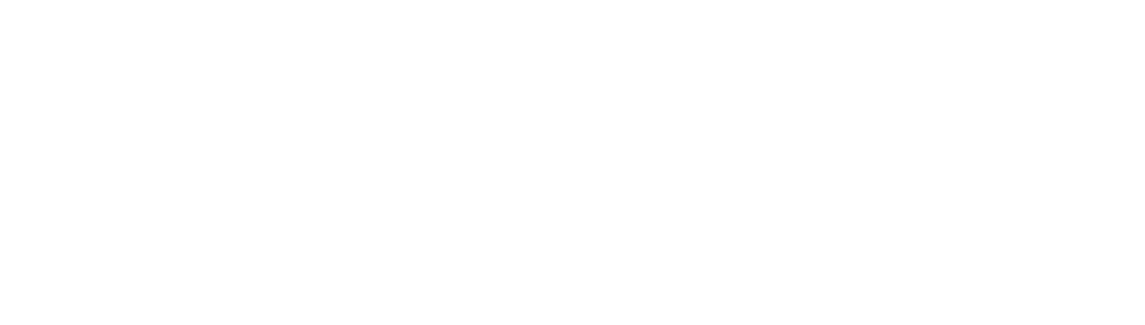 Logo PILOT
